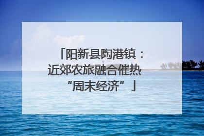 阳新县陶港镇：近郊农旅融合催热“周末经济”
