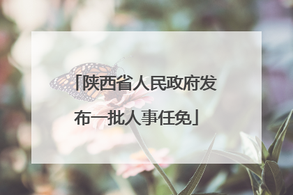 陕西省人民政府发布一批人事任免