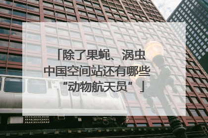 除了果蝇、涡虫 中国空间站还有哪些“动物航天员”