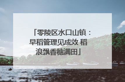 零陵区水口山镇：早稻管理见成效 稻浪飘香穗满田