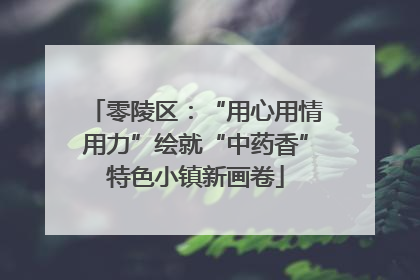 零陵区：“用心用情用力”绘就“中药香”特色小镇新画卷