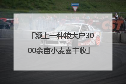 颍上一种粮大户3000余亩小麦喜丰收