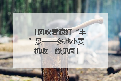 风吹麦浪好“丰”景——多地小麦机收一线见闻