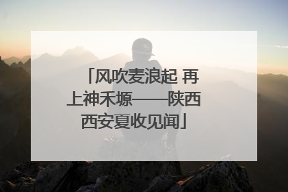 风吹麦浪起 再上神禾塬——陕西西安夏收见闻
