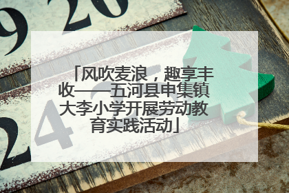 风吹麦浪，趣享丰收——五河县申集镇大李小学开展劳动教育实践活动