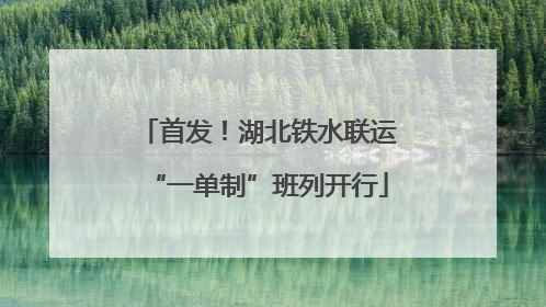 首发！湖北铁水联运“一单制”班列开行