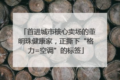 首进城市核心卖场的董明珠健康家，正撕下“格力=空调”的标签