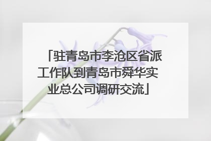 驻青岛市李沧区省派工作队到青岛市舜华实业总公司调研交流