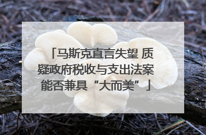 马斯克直言失望 质疑政府税收与支出法案能否兼具“大而美”