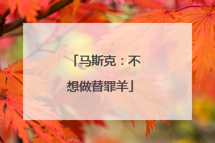 马斯克：不想做替罪羊