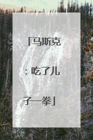马斯克：吃了儿子一拳