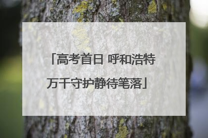 高考首日 呼和浩特万千守护静待笔落