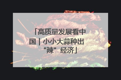 高质量发展看中国｜小小大蒜种出“辣”经济