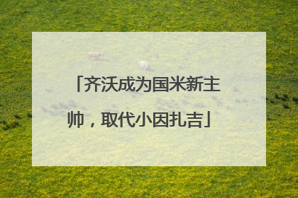 齐沃成为国米新主帅，取代小因扎吉