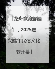 龙舟竞渡耀端午，2025嘉兴端午民俗文化节开幕