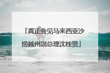 龚正会见马来西亚沙捞越州副总理沈桂贤