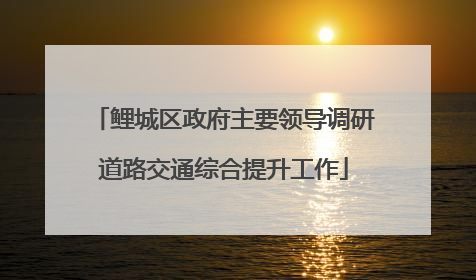 鲤城区政府主要领导调研道路交通综合提升工作