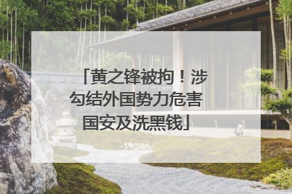 黄之锋被拘！涉勾结外国势力危害国安及洗黑钱