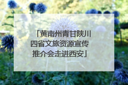 黄南州青甘陕川四省文旅资源宣传推介会走进西安