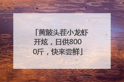 黄陂头茬小龙虾开炫，日供8000斤，快来尝鲜
