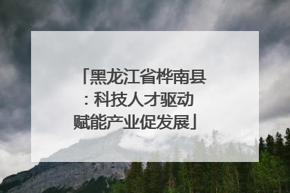 黑龙江省桦南县：科技人才驱动 赋能产业促发展