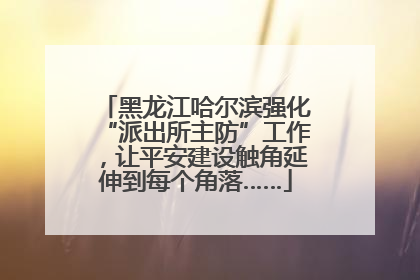 黑龙江哈尔滨强化“派出所主防”工作，让平安建设触角延伸到每个角落……