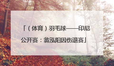 （体育）羽毛球——印尼公开赛：翁泓阳因伤退赛