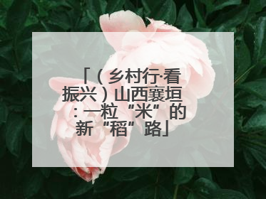 （乡村行·看振兴）山西襄垣：一粒“米”的新“稻”路