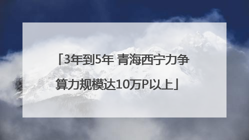 3年到5年 青海西宁力争算力规模达10万P以上