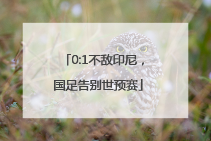 0:1不敌印尼，国足告别世预赛
