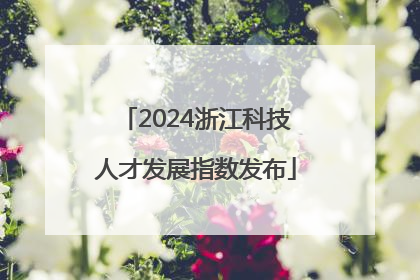 2024浙江科技人才发展指数发布