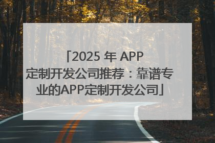 2025 年 APP 定制开发公司推荐：靠谱专业的APP定制开发公司