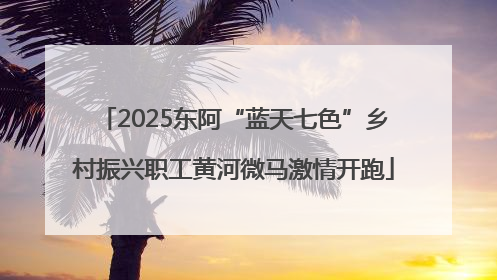 2025东阿“蓝天七色”乡村振兴职工黄河微马激情开跑