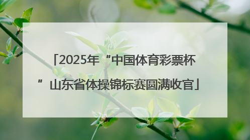 2025年“中国体育彩票杯”山东省体操锦标赛圆满收官