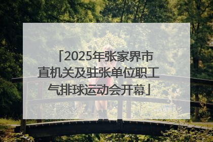 2025年张家界市直机关及驻张单位职工气排球运动会开幕