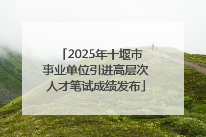 2025年十堰市事业单位引进高层次人才笔试成绩发布