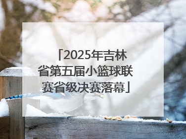 2025年吉林省第五届小篮球联赛省级决赛落幕