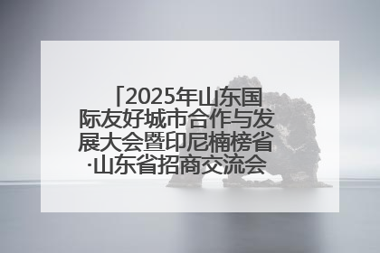2025年山东国际友好城市合作与发展大会暨印尼楠榜省·山东省招商交流会在济南槐荫举行
