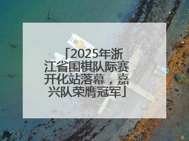 2025年浙江省围棋队际赛开化站落幕，嘉兴队荣膺冠军
