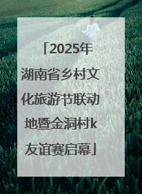 2025年湖南省乡村文化旅游节联动地暨金洞村k友谊赛启幕