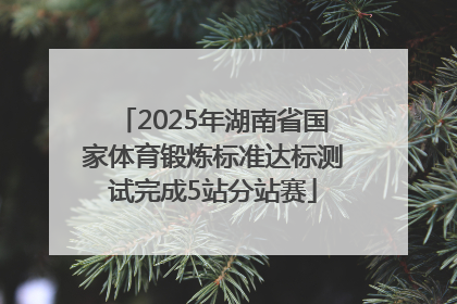 2025年湖南省国家体育锻炼标准达标测试完成5站分站赛