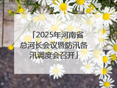 2025年河南省总河长会议暨防汛备汛调度会召开