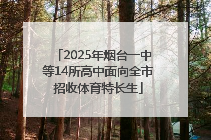 2025年烟台一中等14所高中面向全市招收体育特长生