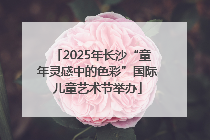 2025年长沙“童年灵感中的色彩”国际儿童艺术节举办