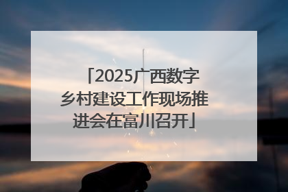 2025广西数字乡村建设工作现场推进会在富川召开