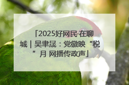 2025好网民·在聊城｜吴聿晟：党徽映“税”月 网播传政声