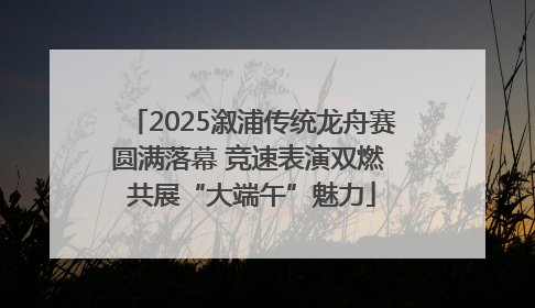 2025溆浦传统龙舟赛圆满落幕 竞速表演双燃 共展“大端午”魅力
