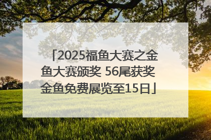 2025福鱼大赛之金鱼大赛颁奖 56尾获奖金鱼免费展览至15日
