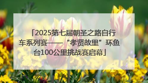 2025第七届朝圣之路自行车系列赛——“孝贤故里”环鱼台100公里挑战赛启幕