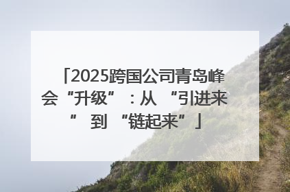 2025跨国公司青岛峰会“升级”：从 “引进来” 到 “链起来”